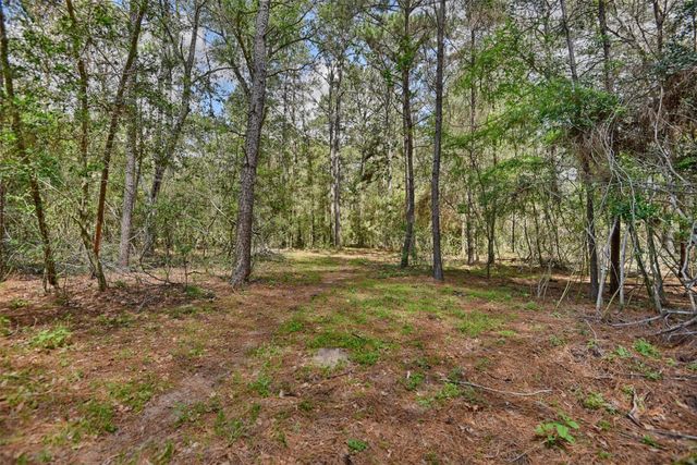 32023 Courtney Road, Waller, TX 77484