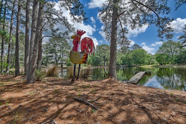 32023 Courtney Road, Waller, TX 77484