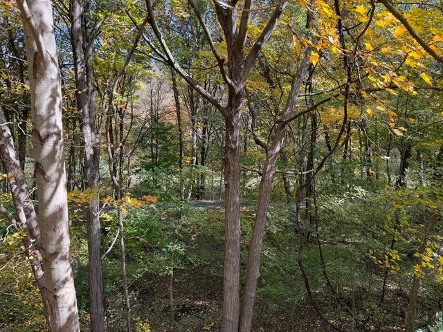 175 Mill Pond Road 215, Hamden, CT 06514