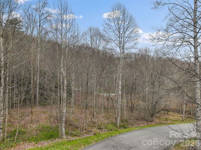 9999 Talking Rock Lane, Leicester, NC 28748