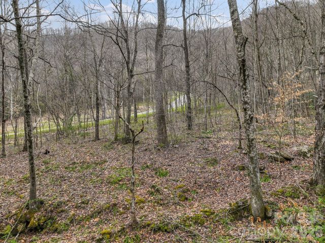 9999 Talking Rock Lane, Leicester, NC 28748