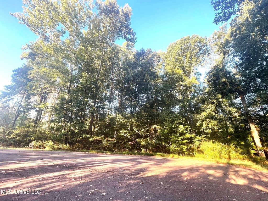 10 Plank Road, Hernando, MS 38632 — photo 2