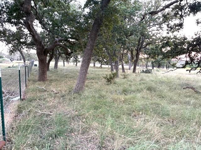 36 Crossing Dr, Harper, TX 78631