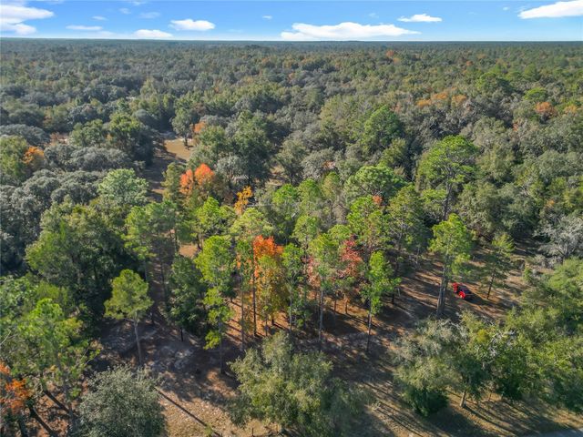 11650 NE 88TH LANE, Bronson, FL 32621