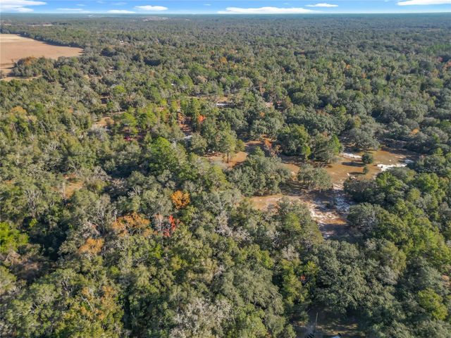 11650 NE 88TH LANE, Bronson, FL 32621