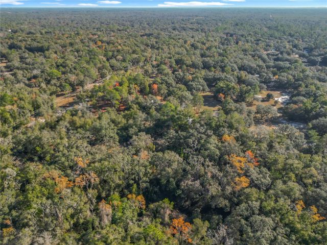 11650 NE 88TH LANE, Bronson, FL 32621