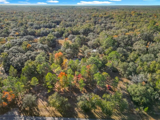 11650 NE 88TH LANE, Bronson, FL 32621