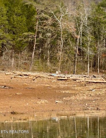 Bridle Way, Speedwell, TN 37870