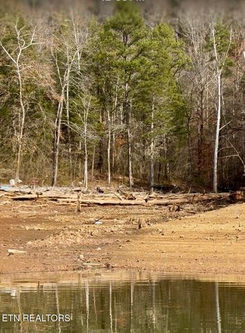 Bridle Way, Speedwell, TN 37870