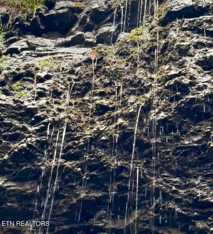 Bridle Way, Speedwell, TN 37870