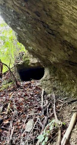 Bridle Way, Speedwell, TN 37870