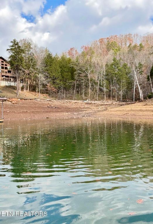 Bridle Way, Speedwell, TN 37870