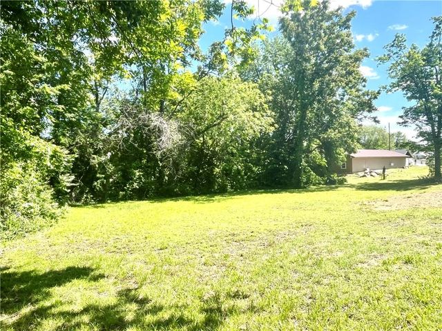 227 S Lynn Street, Nevada, MO 64772