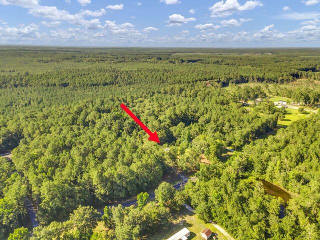 1236 Spring Hill Church Road, Ridgeville, SC 29472