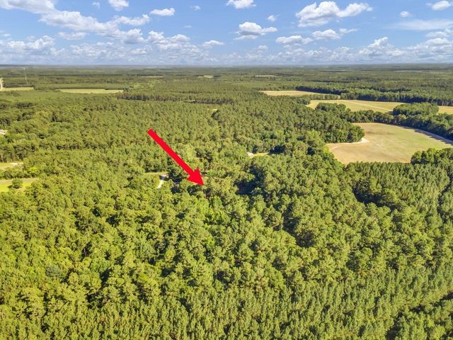 1236 Spring Hill Church Road, Ridgeville, SC 29472