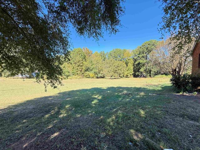 115 Chester Avenue, Great Falls, SC 29055