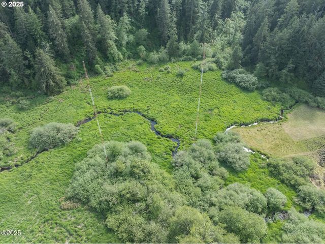 3422 Hwy 20, Toledo, OR 97391