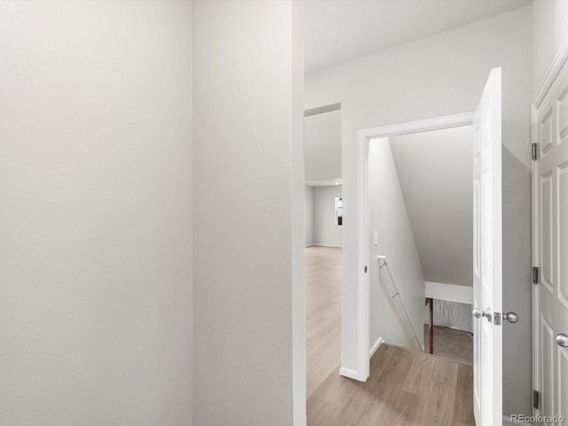 1617 Yampa River Dr, Windsor, CO 80550