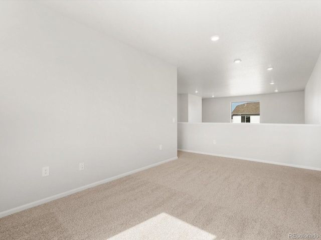 1617 Yampa River Dr, Windsor, CO 80550