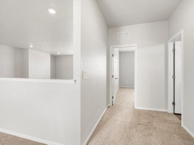 1617 Yampa River Dr, Windsor, CO 80550