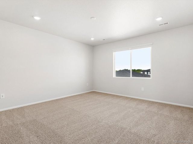 1617 Yampa River Dr, Windsor, CO 80550