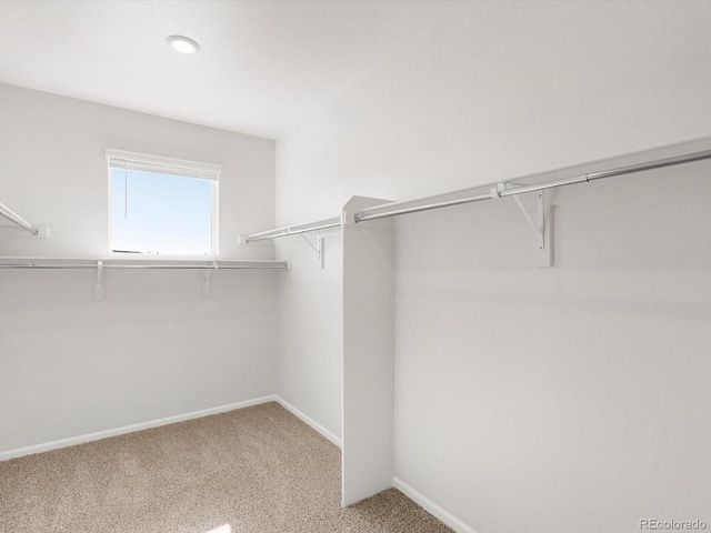 1617 Yampa River Dr, Windsor, CO 80550