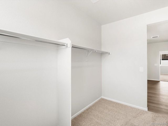 1617 Yampa River Dr, Windsor, CO 80550