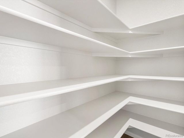 1617 Yampa River Dr, Windsor, CO 80550