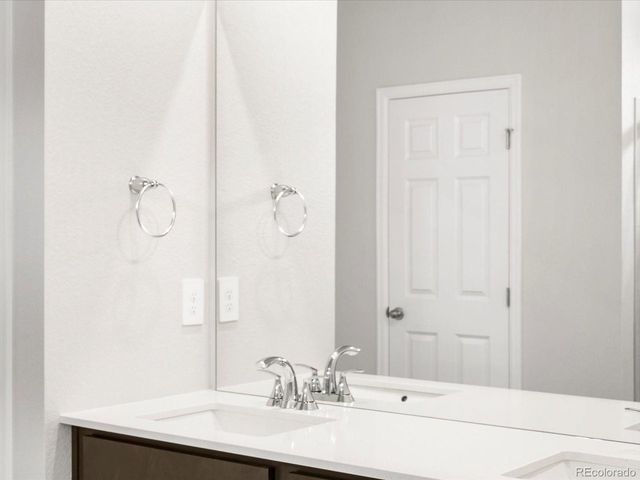 1617 Yampa River Dr, Windsor, CO 80550