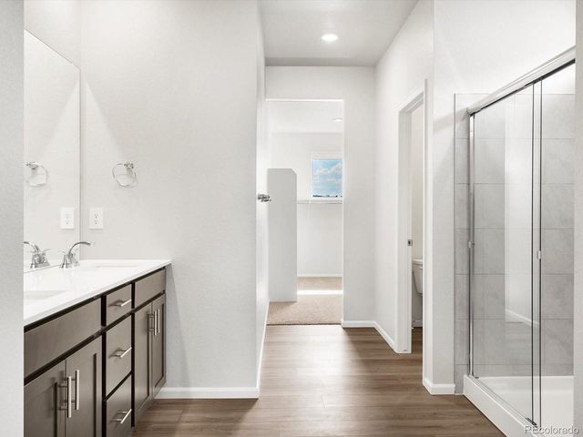 1617 Yampa River Dr, Windsor, CO 80550