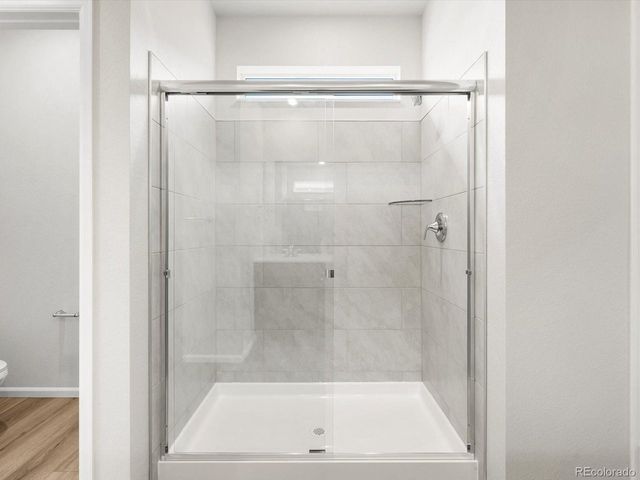 1617 Yampa River Dr, Windsor, CO 80550