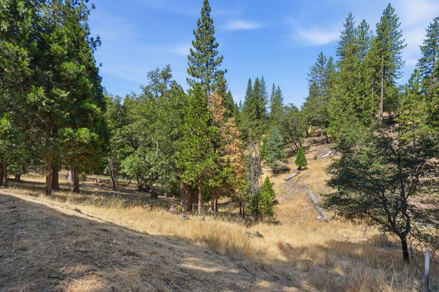 5201 Canchalagua Dr, Pollock Pines, CA 95726