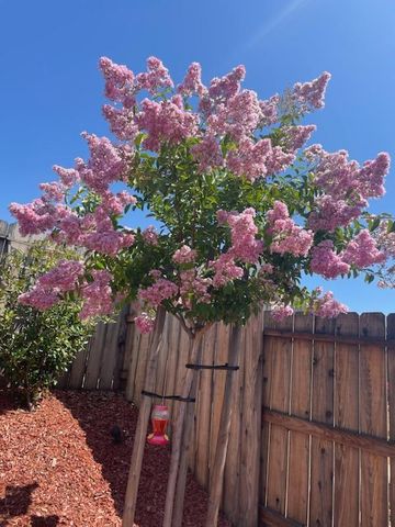 4700 Trumpet Lily Way, Roseville, CA 95747