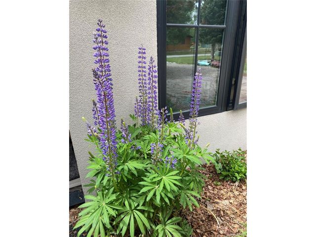 15745 Birdie Ln, Buena Vista, CO 81211