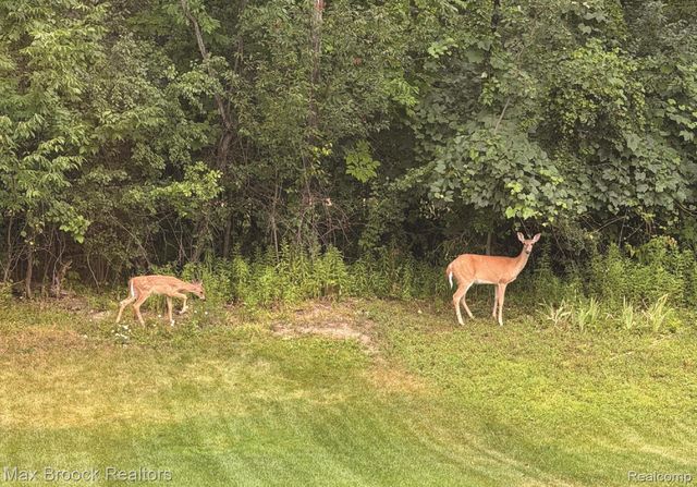 8012 IVY GLEN PARK LANE, White Lake Charter Township, MI 48386