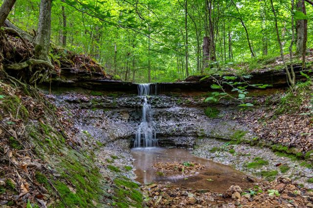 3402 Blackburn Rd, Santa Fe, TN 38482