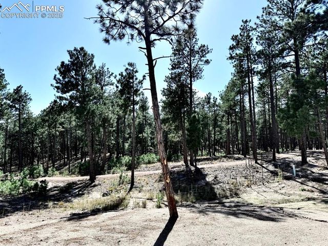 3135 Promise Point, Colorado Springs, CO 80921