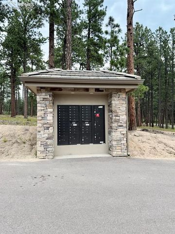 3135 Promise Point, Colorado Springs, CO 80921