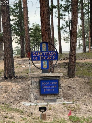 3135 Promise Point, Colorado Springs, CO 80921