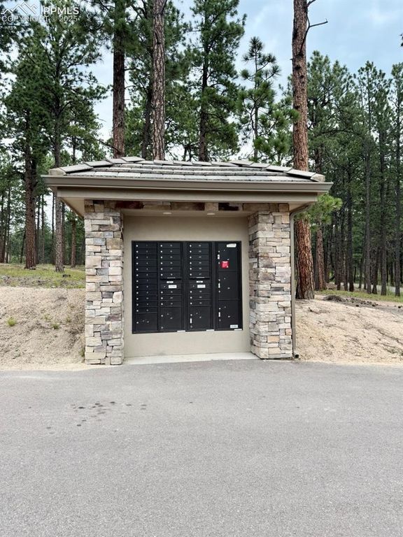 3135 Promise Point, Colorado Springs, CO 80921 — photo 2