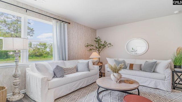 354 Bevington Brook Lane, Hopkins, SC 29061