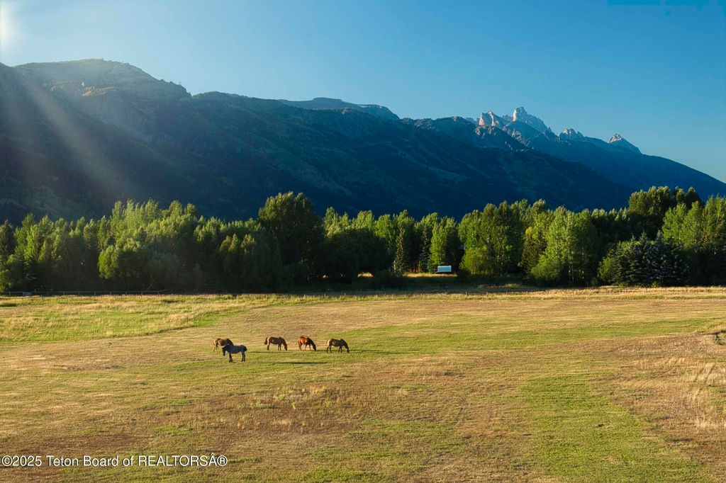 4585 W HIGHWAY 22, Wilson, WY 83014