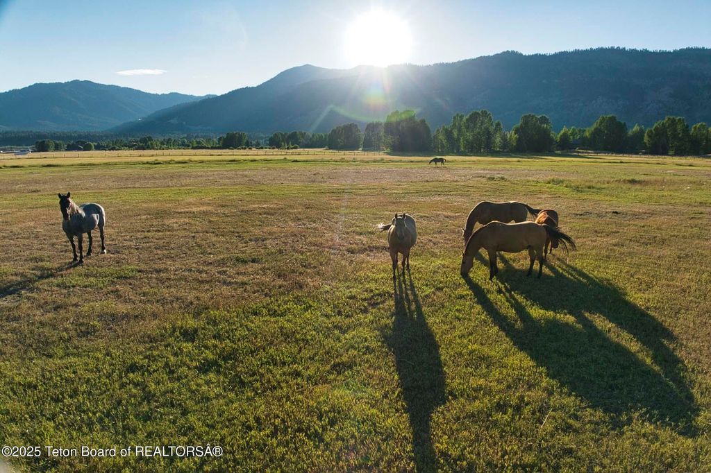 4585 W HIGHWAY 22, Wilson, WY 83014 photo 16