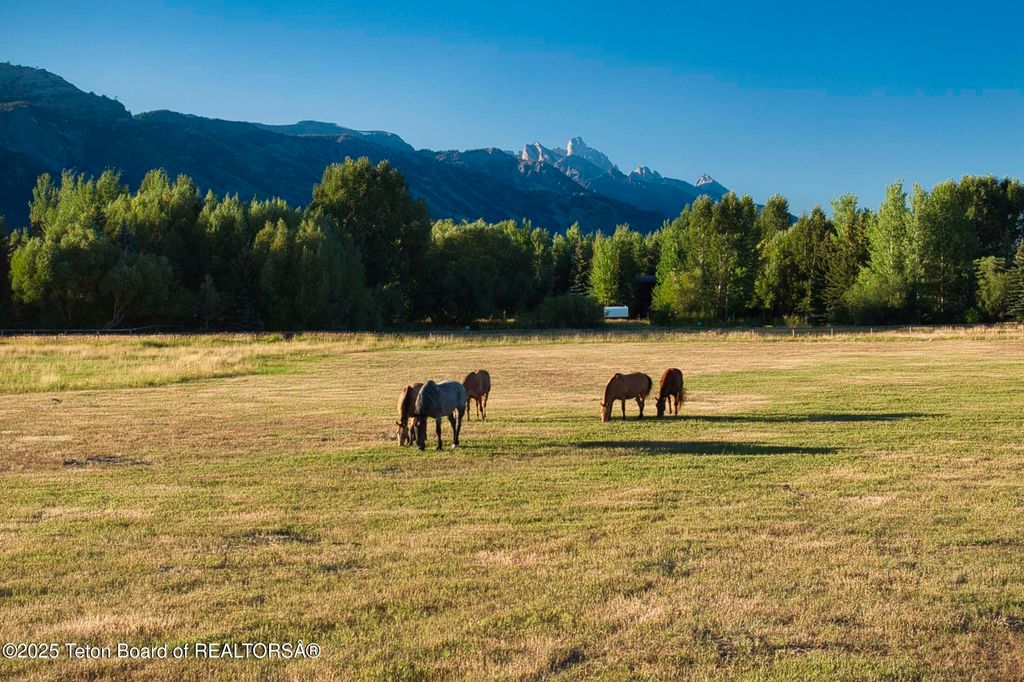 4585 W HIGHWAY 22, Wilson, WY 83014 photo 4