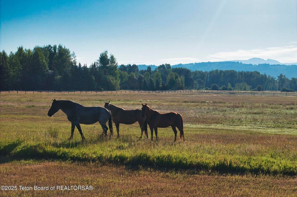 4585 W HIGHWAY 22, Wilson, WY 83014 photo 7