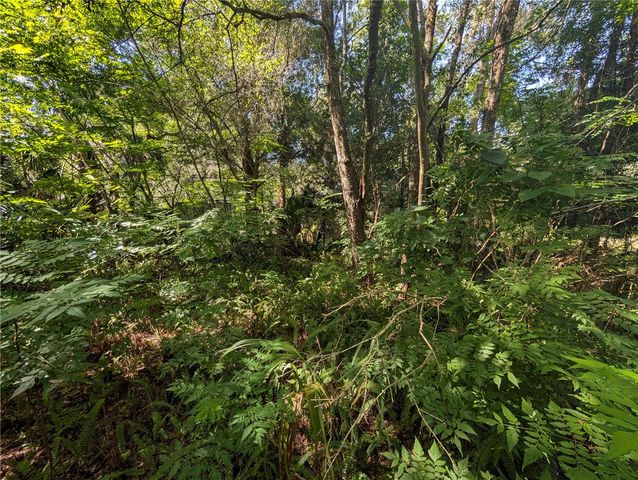 700 GRANT AVENUE, Deland, FL 32724