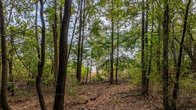 167 Wilshire Drive, Fairfield Bay, AR 72088