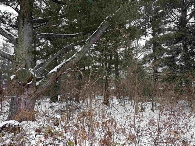 2007 BLOEDEL AVENUE, Weston, WI 54476