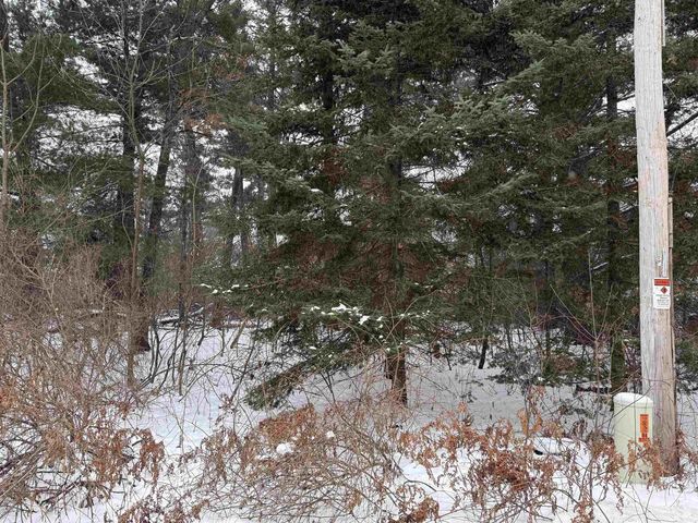 2007 BLOEDEL AVENUE, Weston, WI 54476