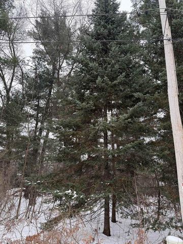 2007 BLOEDEL AVENUE, Weston, WI 54476